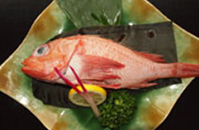 ���������ρy�{�z4���`12��