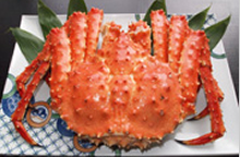 �^���o�K�j�y�{�z11���`2��