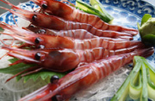 �u�h�E�G�r�y�{�z7���`8��