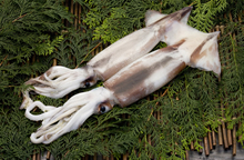 �X�����C�J�y�{�z10���`11��