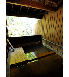 �R������̘I�V���C